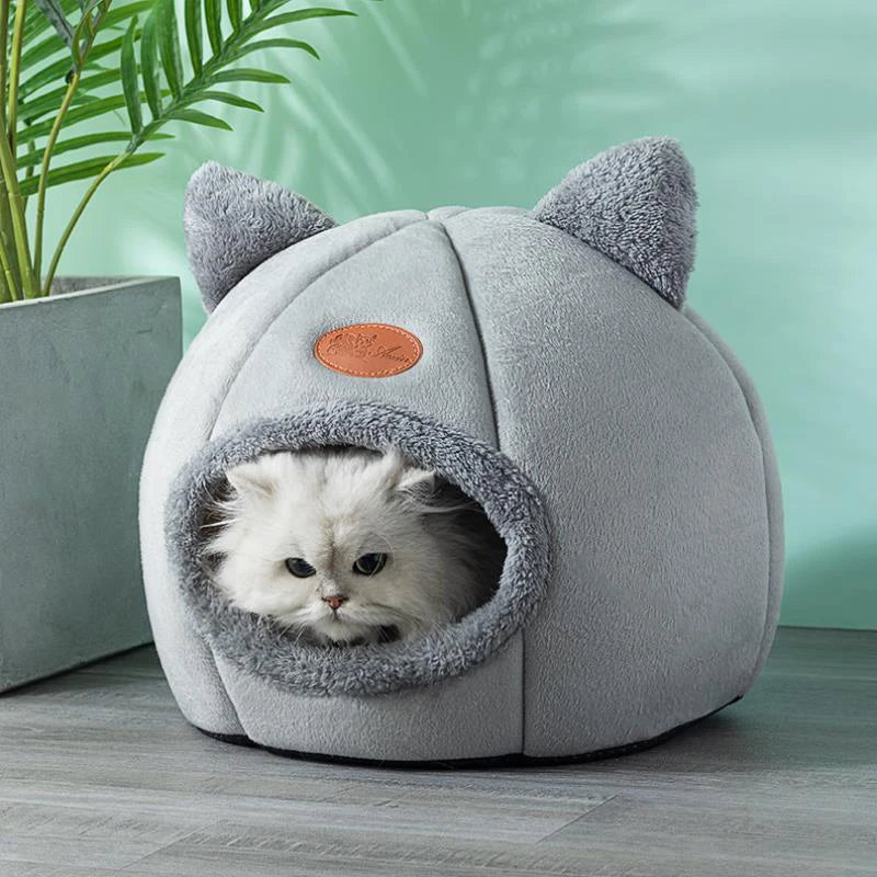 Kattkoja