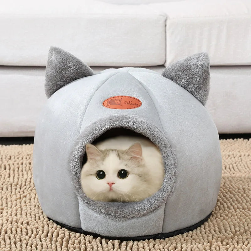 Kattkoja