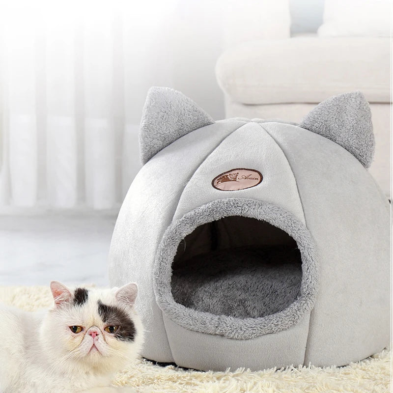 Kattkoja
