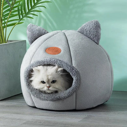 Kattkoja
