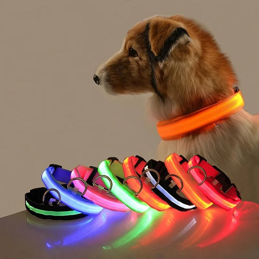 LED halsband